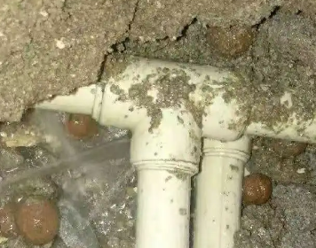 醴陵测漏水多少钱