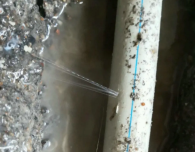 醴陵测漏水哪家好