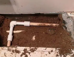 醴陵测漏水哪家好