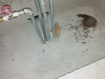 醴陵卫生间测漏水价格明细