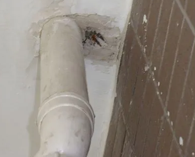 醴陵漏水检测哪家好